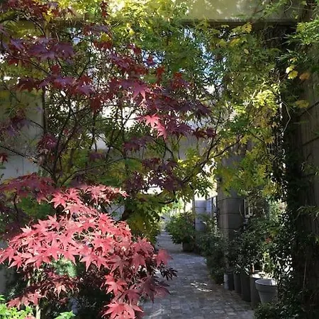 Luxury Artsy Garden Loft Wz Jacuzzi, * パリ